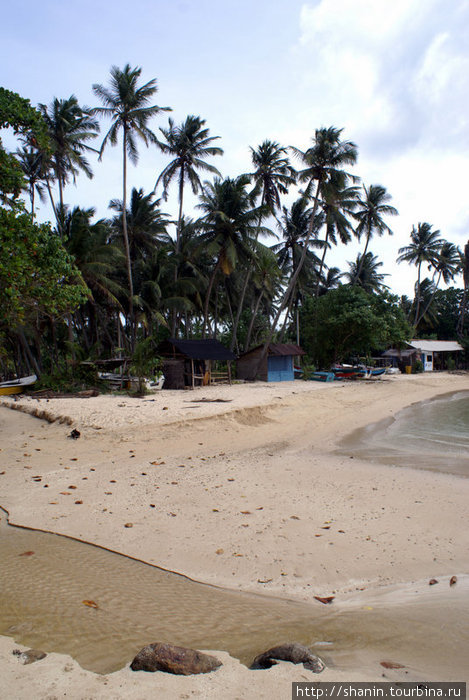 Песок и пальмы Галле, Шри-Ланка
