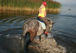 А через несколько секунд я окажусь в воде, так как моей лошадке приспичило искупаться