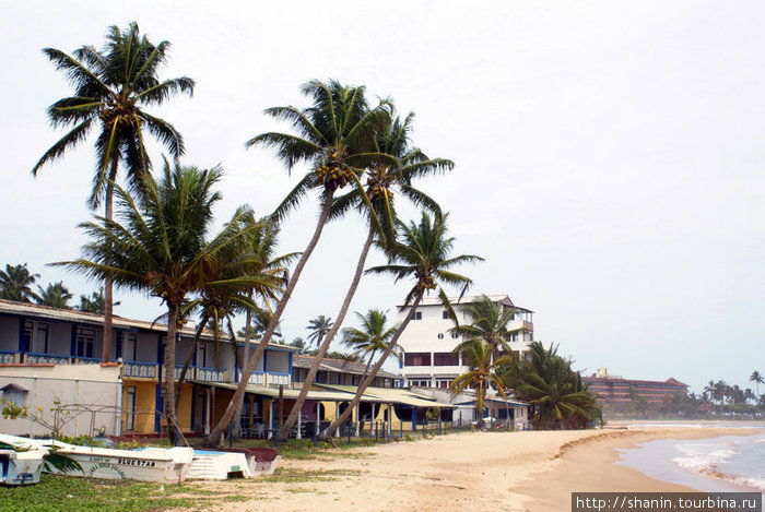 На берегу моря Хиккадува, Шри-Ланка