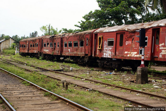 Поезд пострадал от цунами — и стал памятником Хиккадува, Шри-Ланка