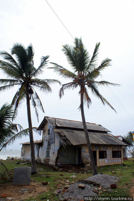Дом на берегу Хиккадува, Шри-Ланка