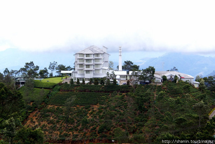 Фабрика на вершине холма Нувара Элия, Шри-Ланка