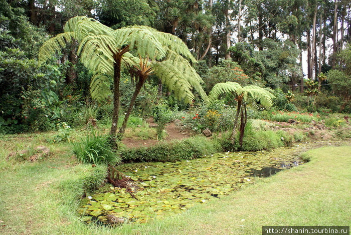 Парк Виктория Нувара Элия, Шри-Ланка