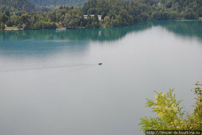 Бледское озеро с высоты Бледского замка Блед, Словения