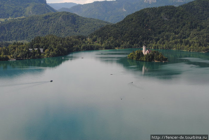 За 12 евро лодочки доставляют туристов на остров Блед, Словения