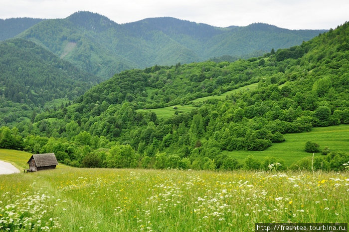 Жилинский край (Средняя Словакия) известен своими пасторальными пейзажами. Он лежит в предгорьях северных Карпат (высота более 700 м над ур.моря). Сюда, к старинным деревням ведут туристические тропы.