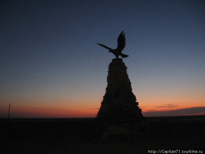 Степной орел.Символ Казахстана. Плато и пустыня Устюрт, Казахстан