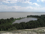 Озеро Лебяжье на Куршской косе. Идеальное место для создания лебединой семьи. И лебеди об этом знают