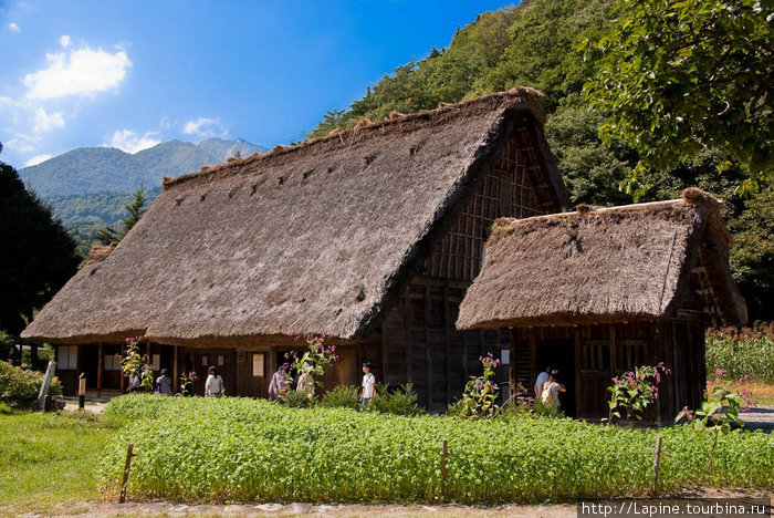 Самый старый дом \гассё-дзукури\ в музее под открытым небом Минка-эн Огимати, Япония