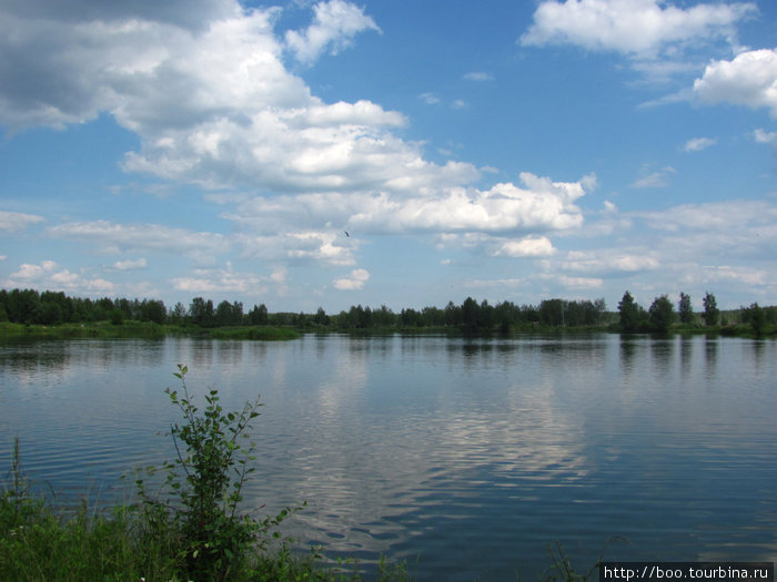 заповедное озеро Лосиный Остров Национальный Парк, Россия