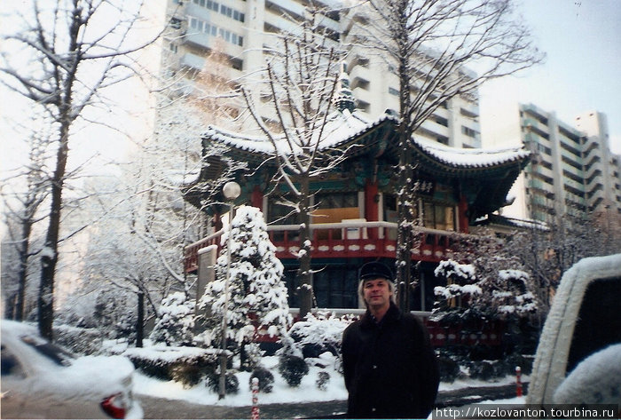 Утром зима, а вечером снега как не бывало. Сеул, Республика Корея
