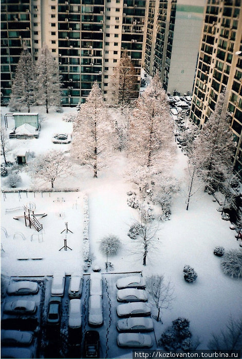 Праздничный снегопад на следующее утро после инаугурации. Сеул, Республика Корея