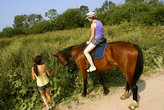 Лошади очень любят свернуть с тропы и полакомиться придорожной травой...