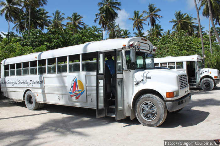 Автобусы, чуть не похожи на наши Доминиканская Республика