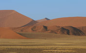 Парк Намиб Науклуфт (Namib Naukluft Park).