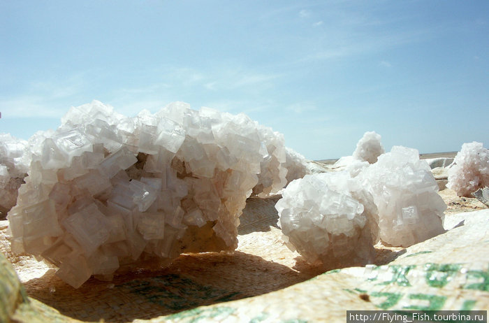 Кристаллы соли в тех местах розового оттенка Намибия