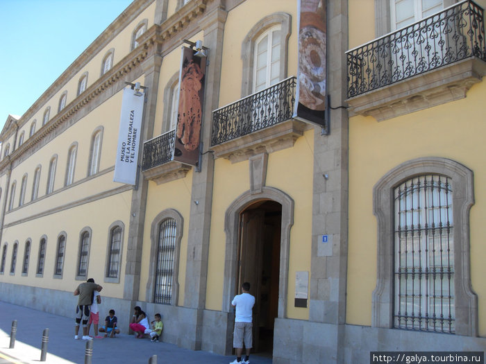 Музей естественной истории Санта-Крус-де-Тенерифе, остров Тенерифе, Испания