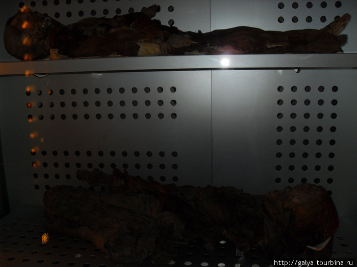 Музей естественной истории и мумии гуанчей Санта-Крус-де-Тенерифе, остров Тенерифе, Испания