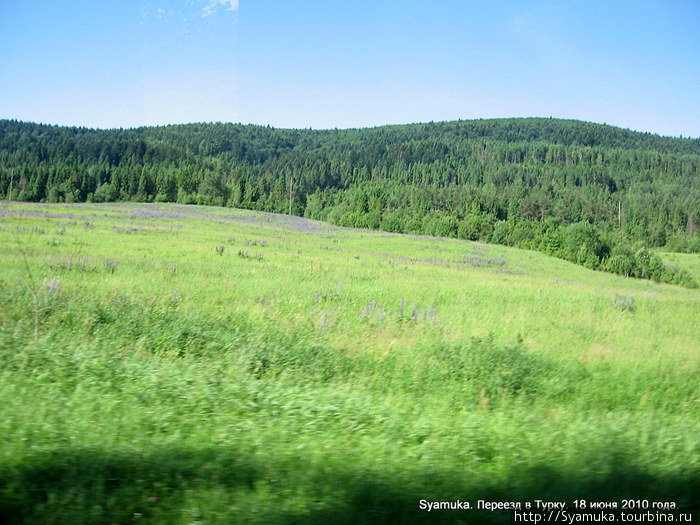 Все чаще отступали леса, открывались просторы некошеных трав... Львовская область, Украина