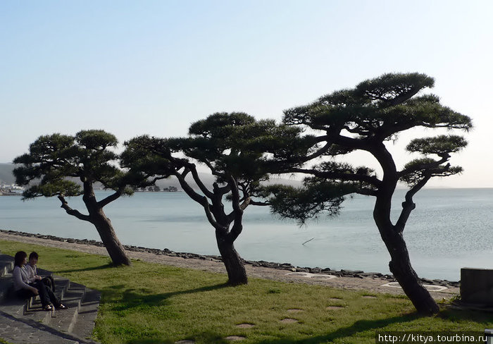 На берегу озера Синдзико Мацуэ, Япония