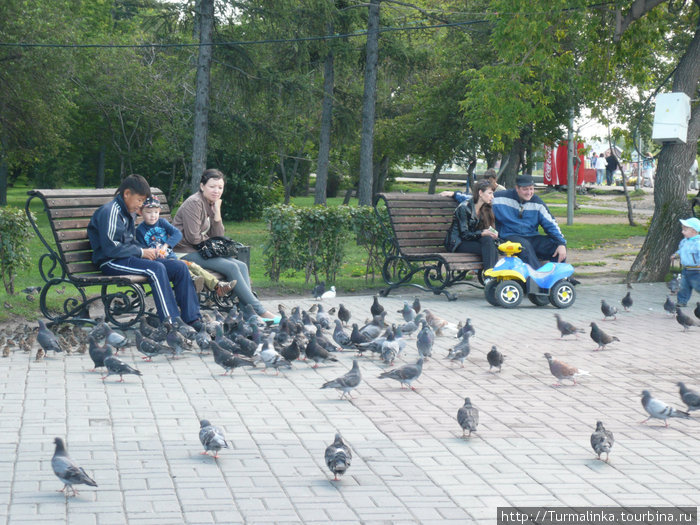 Около памятника много лавочек. И голуби там тоже очень часто обитают) Иркутск, Россия