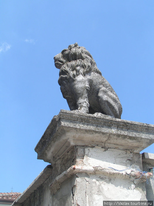 Лев-наблюдатель Ровиго, Италия