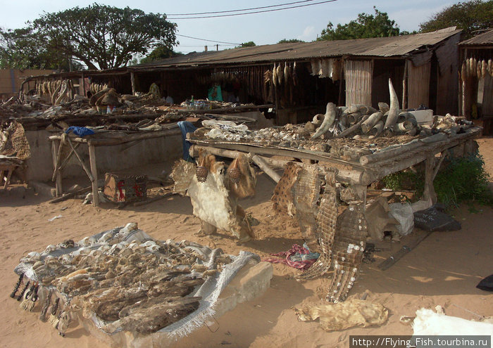 Рынок фетишей в Ломе Того