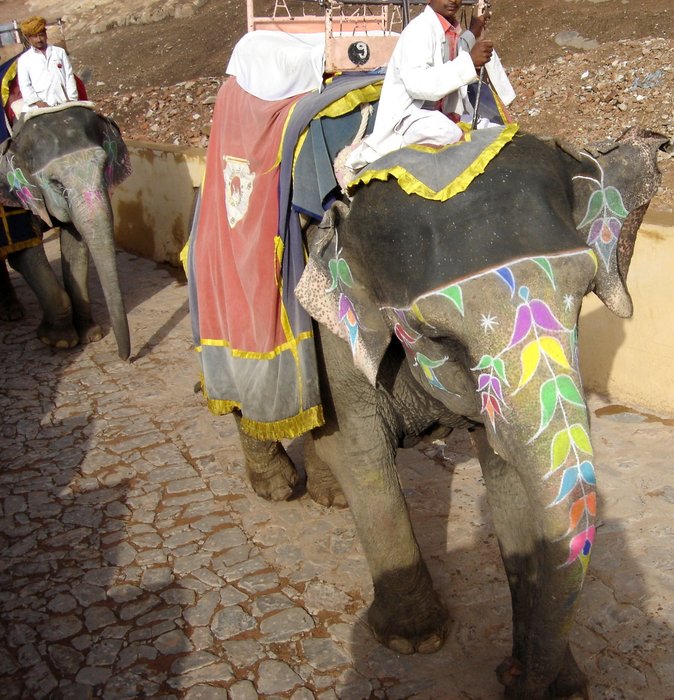 Прогулка на слоне в форт Амбер Джайпур, Индия