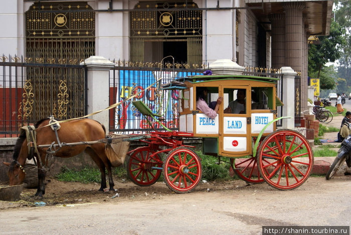 Запряженные лошадьми экипажи — главный вид городского транспорта Пьин-У-Львин, Мьянма