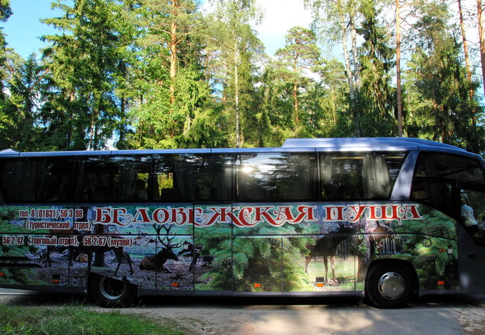 Музей природы в Беловежской пуще Беларусь