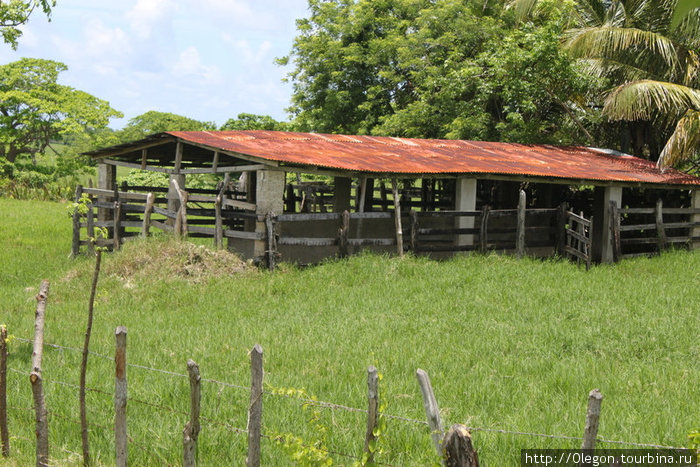 Загон для коров, дающих вкусное молоко Макао, Доминиканская Республика