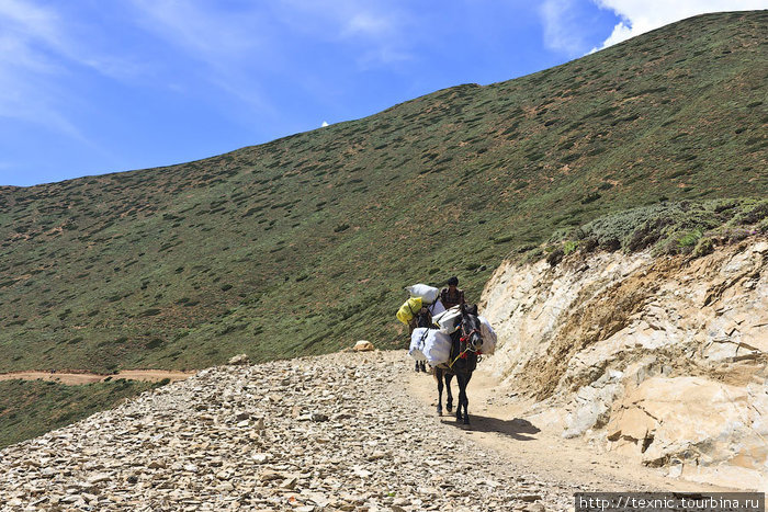 Непал: треккинг из Симикота в Хилсу. Часть 1. Зона Карнали, Непал