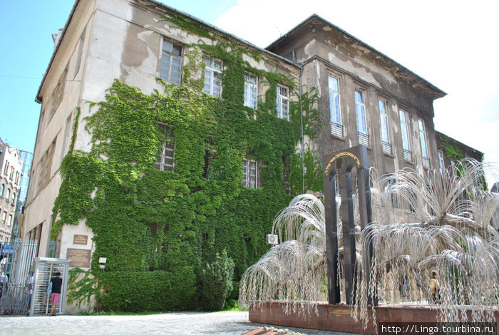 Во дворике Большой синагоги стоит плакучая ива, на каждом листочке которой выбито по одному  имени погибшего в Холокосте еврея Будапешт, Венгрия