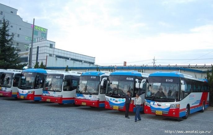 Междугородние автобусы Республика Корея