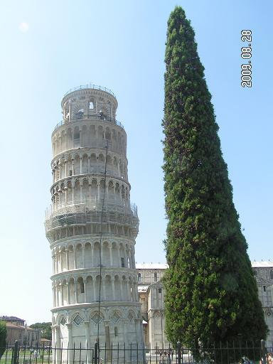 Падающая башня и падающее дерево Пиза, Италия