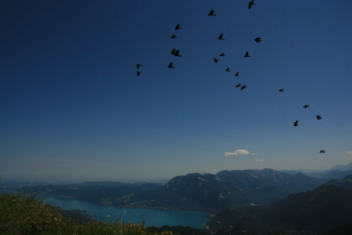 вид на озера с высоты птичьего полета Санкт-Вольфганг, Австрия