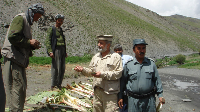 В дороге встретили местных жителей которые торговали кислицей. Афганистан