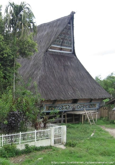 Традиционные дома батаков-каро Индонезия