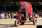 шоу слонов в парке Нонг Нуч