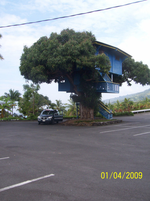 Дом на дереве Кайлуа-Кона, CША
