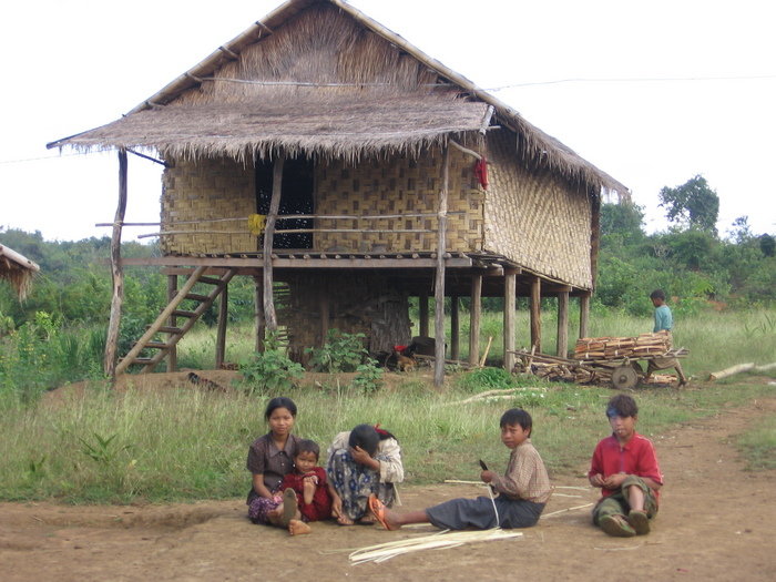 Из Кало у меня были интересные трекинги по племенам. Вот в таких домах живут в Мьянме обычные деревенские жители. Делаются дома из бамбука. Вверху — жилое помещение, а внизу, между сваями, они на ночь скот ставят и хлам всякий складируют Мьянма