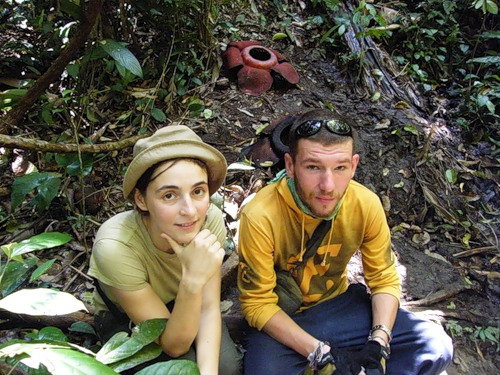 Нагорье Кэмерон: джунгли и чай Камерон-Хайлендс, Малайзия