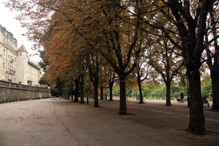 осень в Женеве Женева, Швейцария