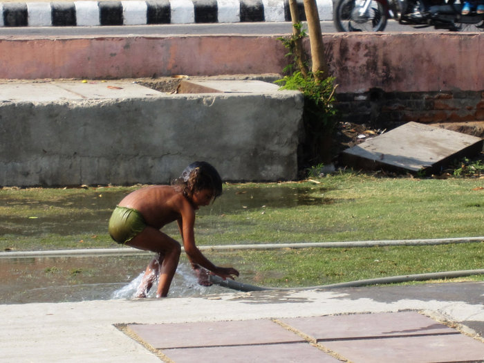 Водные процедуры :) Джайпур, Индия
