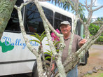 Экскурсионный микроавтобус на Мауи