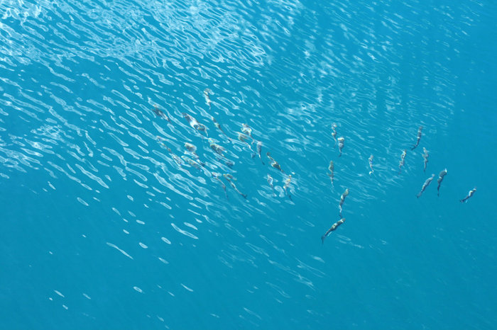 цвет воды у берегов Лос Гигантес Лас-Америкас, остров Тенерифе, Испания