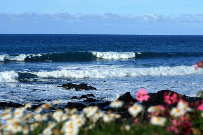 цветущий океан Остров Тенерифе, Испания