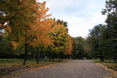 аллея в парке Красная Пресня