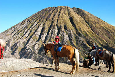 Лошадки на Бромо Кавах-Иджен, Индонезия