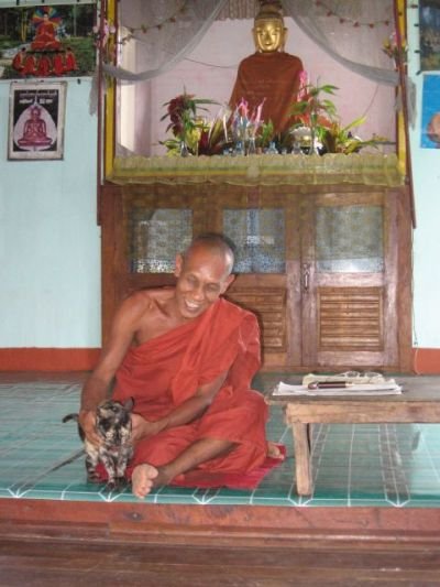 Монах с кошкой Мьянма